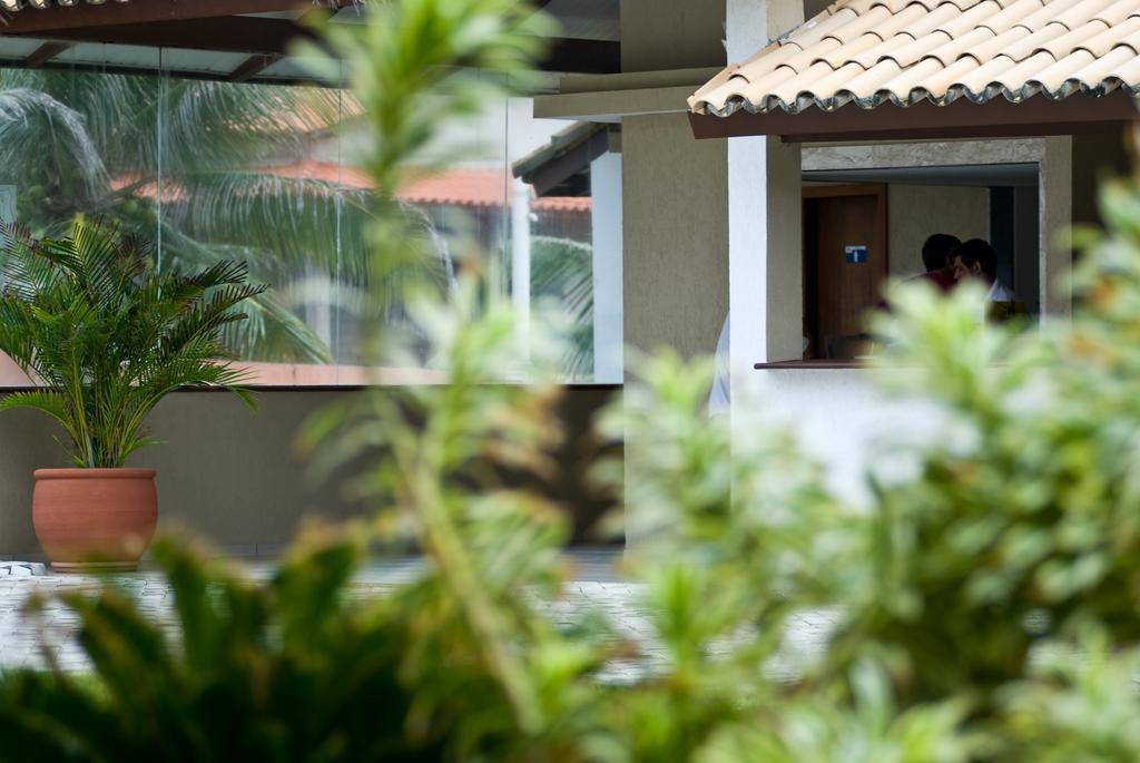 Oyo Hotel Arembepe Beach Hotel, Camacari Exteriér fotografie